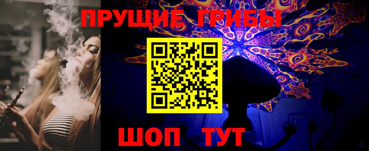 Псилоцибиновые грибы Cubensis  Вход с VPN  Псилоцибиновые грибы прущие грибы  Киселёвск 