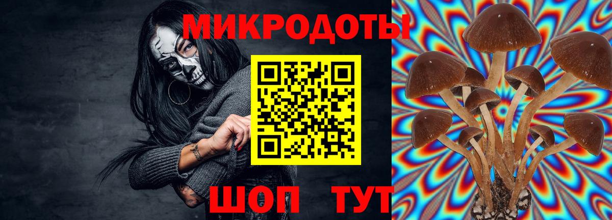 Псилоцибиновые грибы Magic Shrooms Киселёвск